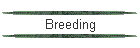 Breeding