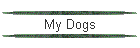 My Dogs