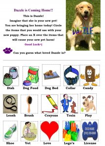 dazzle-is-coming-home-worksheet