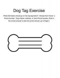 dog-tag-exercise