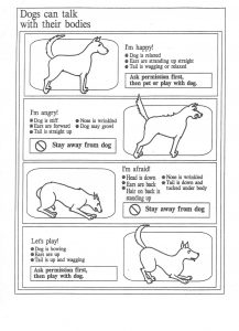 dogs-talk-with-their-bodies
